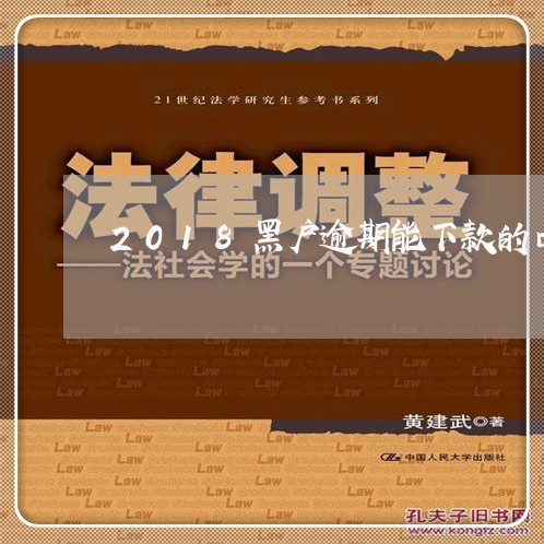 2018黑户逾期能下款的口子