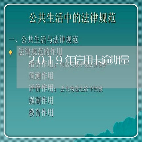 2019年信用卡逾期量