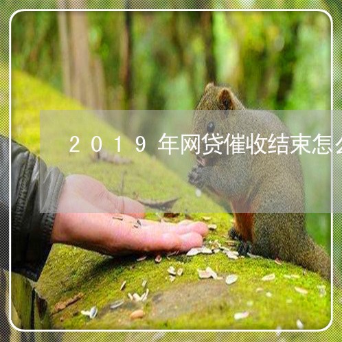 2019年网贷催收结束怎么办/2023112639059