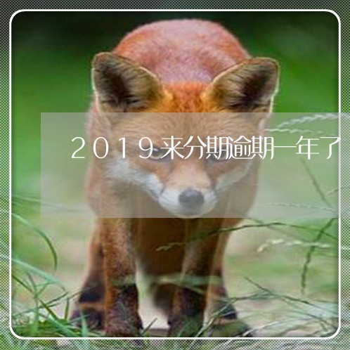 2019来分期逾期一年了/2023042181927