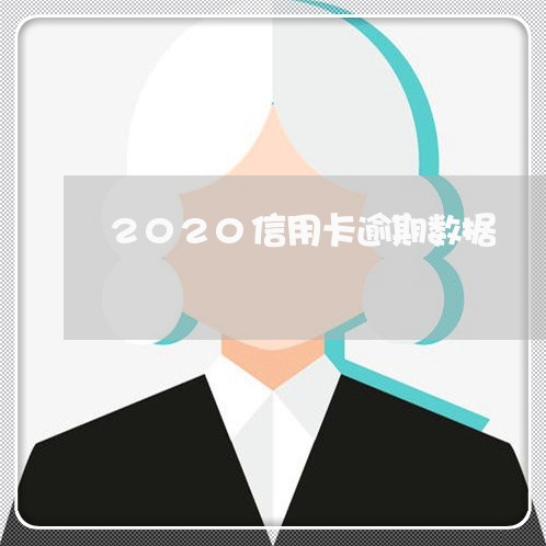 2020信用卡逾期数据/2023060928380