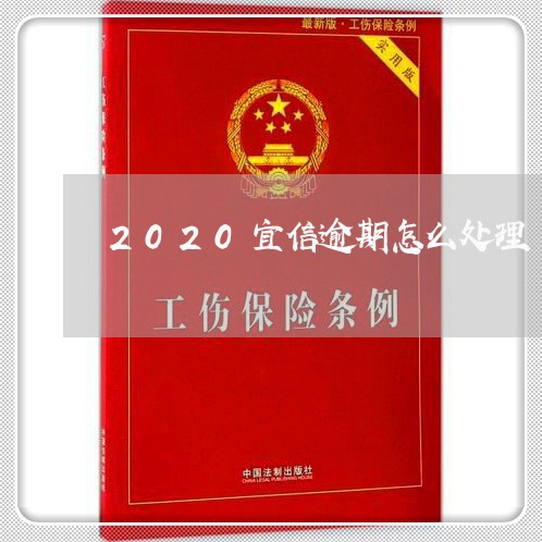 2020宜信逾期怎么处理/2023060539069