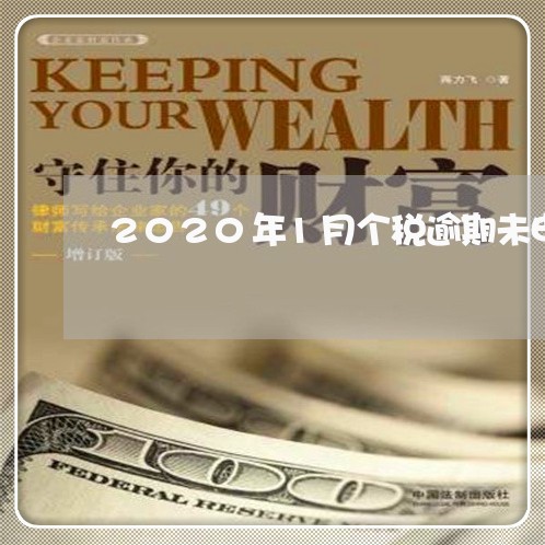 2020年1月个税逾期未申报