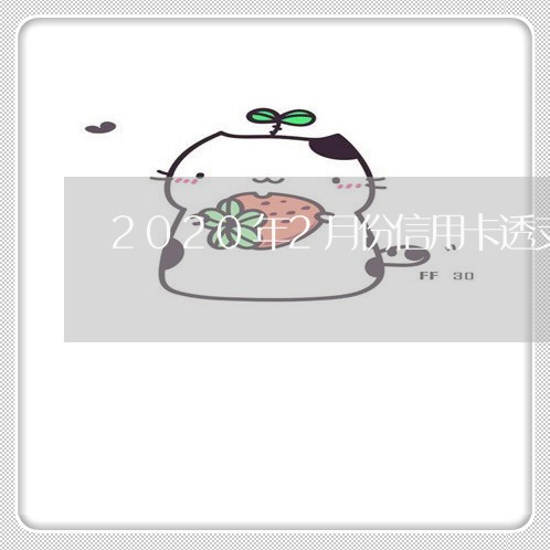 2020年2月份信用卡透支怎么还