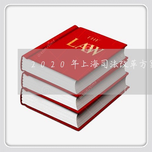 2020年上海司法改革方案
