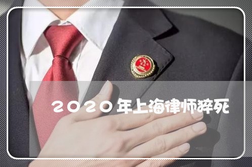 2020年上海律师猝死/2023030104936