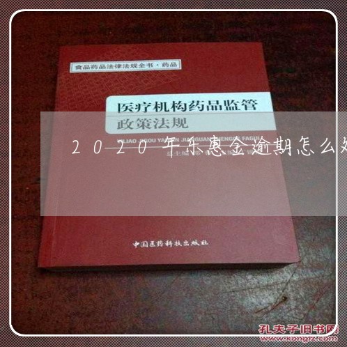 2020年乐惠金逾期怎么处理