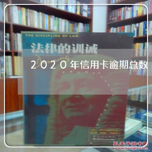 2020年信用卡逾期总数