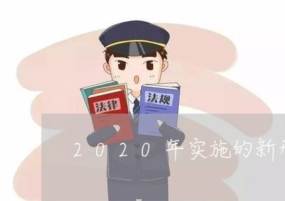 2020年实施的新刑法