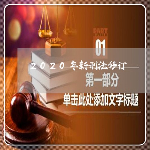 2020年新刑法修订