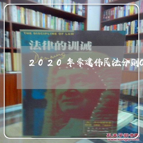 2020年李建伟民法分则01