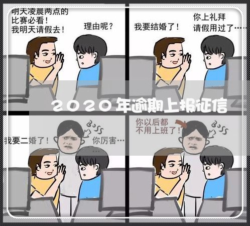 2020年逾期上报征信/2023120915836