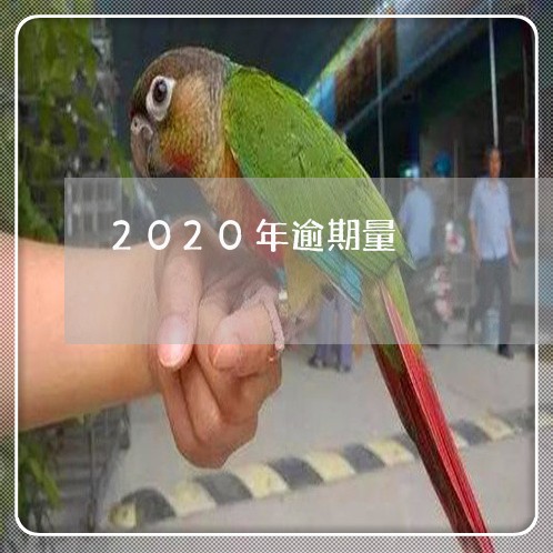 2020年逾期量