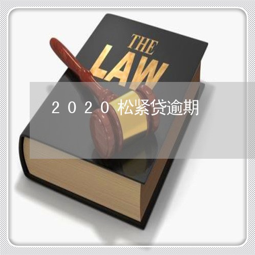 2020松紧贷逾期 2020松紧贷逾期