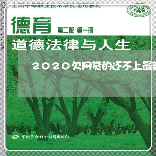 2020欠网贷的还不上最新立法 2020欠网贷的还不上最新立法