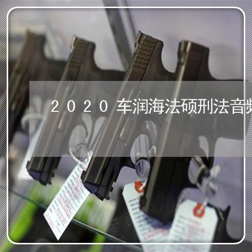 2020车润海法硕刑法音频