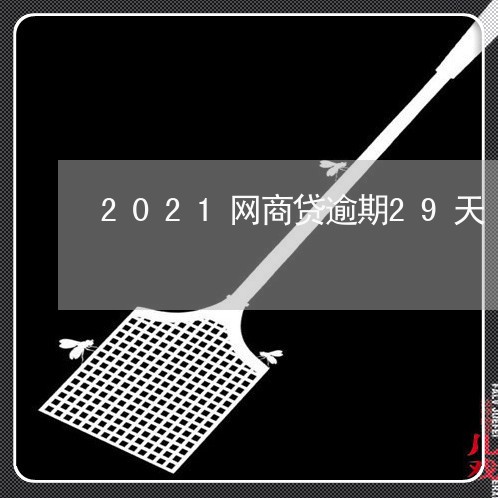 2021网商贷逾期29天/2023020953595