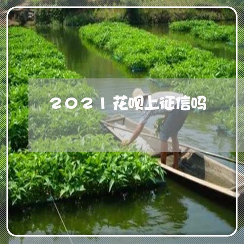 2021花呗上征信吗/2023020588484