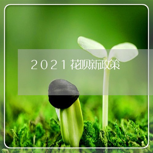 2021花呗新政策/2023092805056