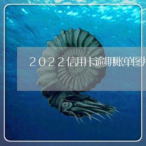 2022信用卡逾期账单图片/2023060530594