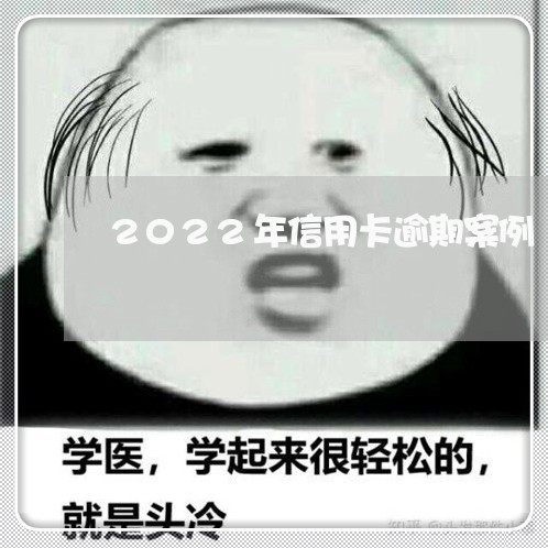 2022年信用卡逾期案例/2023060394825