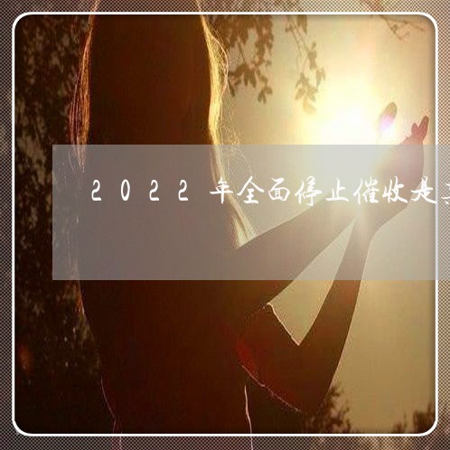 2022年全面停止催收是真的吗/2023020587098