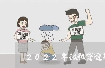 2022年微粒贷逾期上门/2023062710250