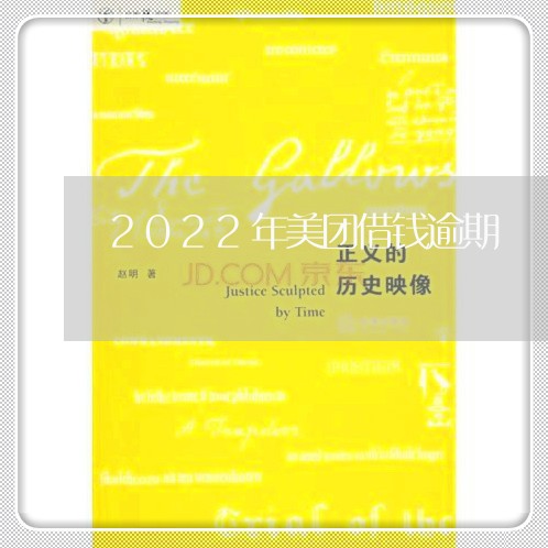 2022年美团借钱逾期/2023091505048