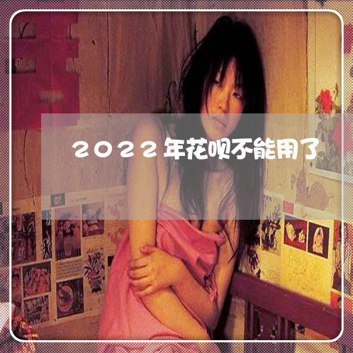 2022年花呗不能用了/2023012324836