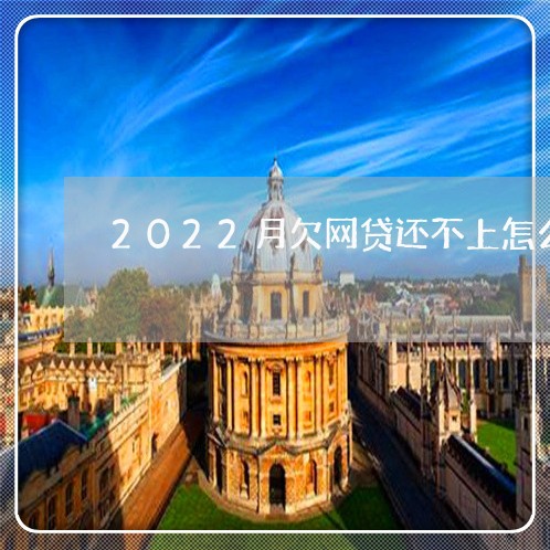 2022月欠网贷还不上怎么办/2023100750681