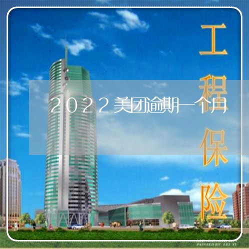 2022美团逾期一个月 2022美团逾期一个月