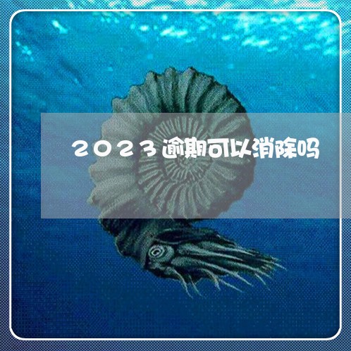 2023逾期可以消除吗/2023120995148