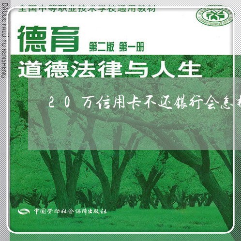 20万信用卡不还银行会怎样出里 20万信用卡不还银行会怎样出里