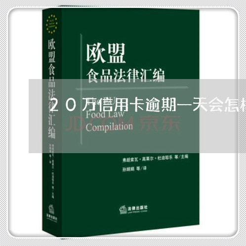 20万信用卡逾期一天会怎样/2023110176159