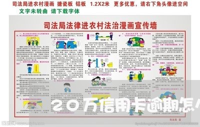 20万信用卡逾期怎么处理/2023060149483