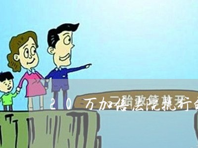 20万加倍法院执行的利息是多少