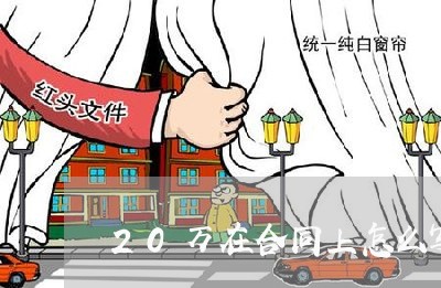 20万在合同上怎么写/2023011606039 20万在合同上怎么写/2023011606039