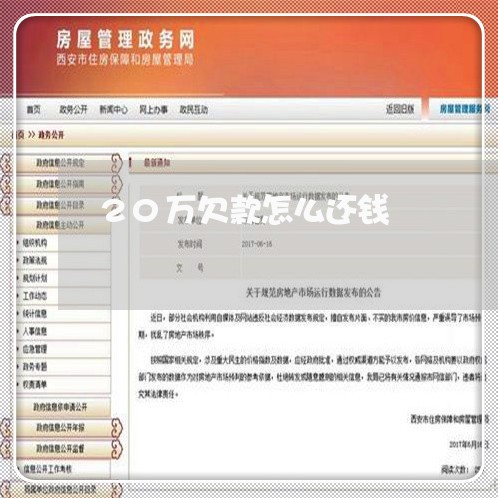 20万欠款怎么还钱/2023012859637