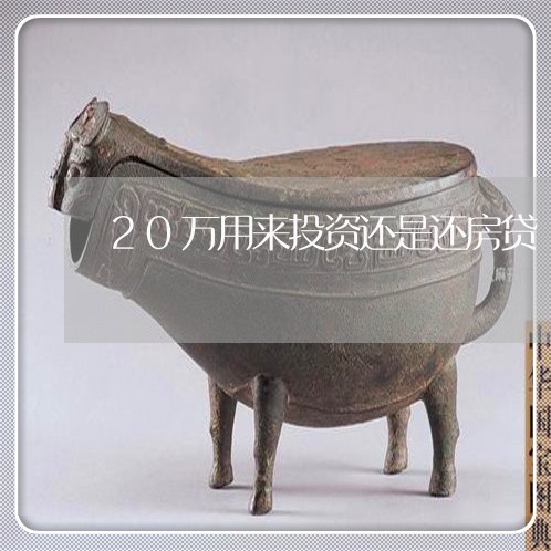 20万用来投资还是还房贷/2023061142606