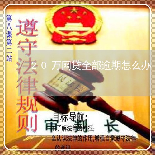 20万网贷全部逾期怎么办/2023120374616