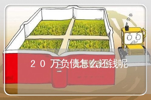 20万负债怎么还钱呢/2023061777360