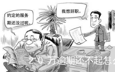 20万逾期还不起怎么办