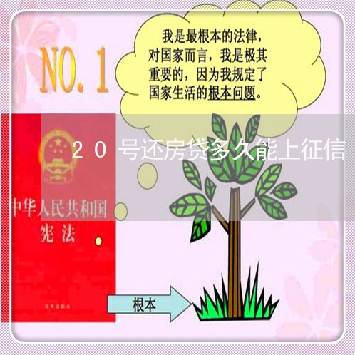 20号还房贷多久能上征信/2023061150393