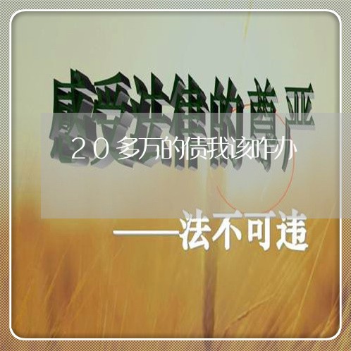 20多万的债我该咋办/2023100782128