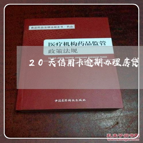 20天信用卡逾期办理房贷/2023061106816