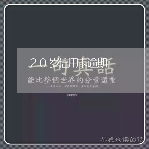 20岁信用卡逾期/2023020482715