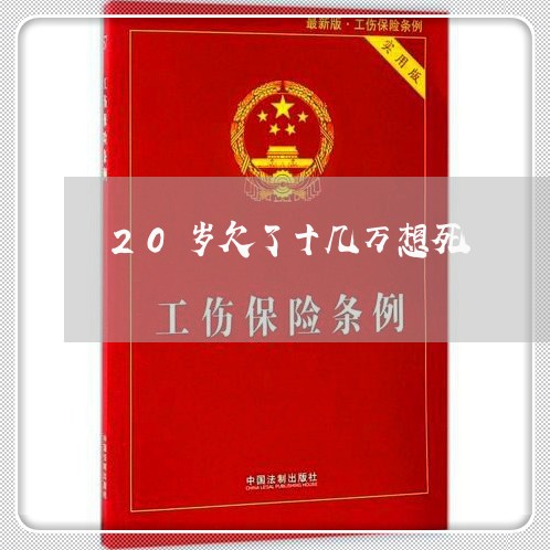 20岁欠了十几万想死/2023061823793