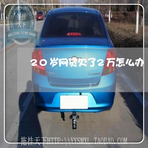 20岁网贷欠了2万怎么办 20岁网贷欠了2万怎么办