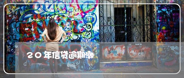 20年信贷逾期潮