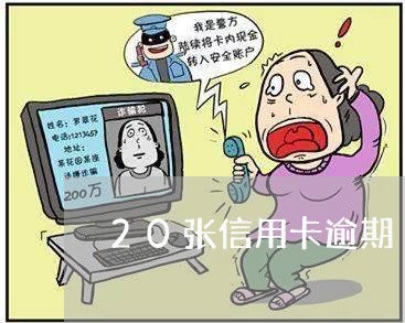 20张信用卡逾期/2023021617955